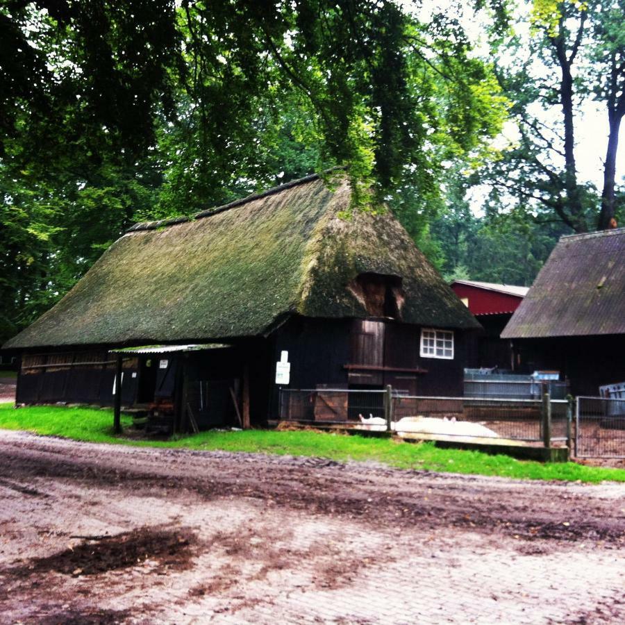 Ferienwohnung Heide View Bispingen Exterior foto